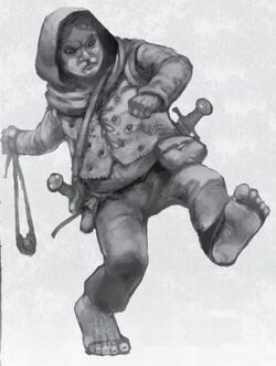 Fieldwarden
