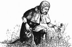 Herbalist