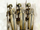 Sphinx Legion of Numas