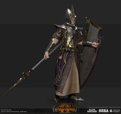 Warhammer Age Of Sigmar Dark Elf Warriors Shield Sprue