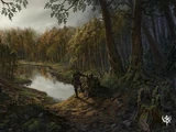Forest of Shadows