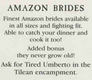 Amazons are slaves of great value, as witnessed by this manifest of the mercenary Tired Umberto[2b]