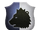 Brotherhood of the Bear