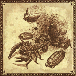 Warhammer Tomb Kings Tomb Swarm Art