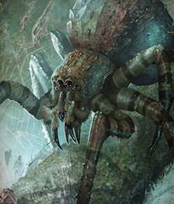 Warhammer Giant Spiders