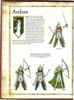 Warhammer FB - Army Essentials - Uniforms and Heraldry of the High Elves - 2012 Page 58