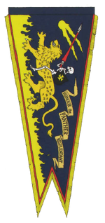 Knights Panther Banner