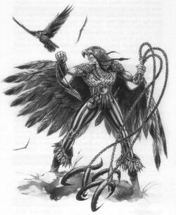 Skaw the Falconer