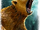 Feral Bears