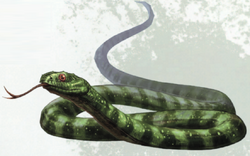 Snake