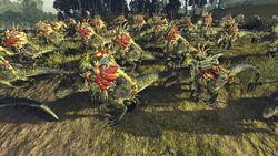 Cold Ones of Sotek