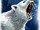 Feral Ice Bears