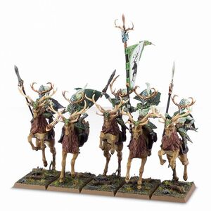 Wild Riders Warhammer Wiki Fandom