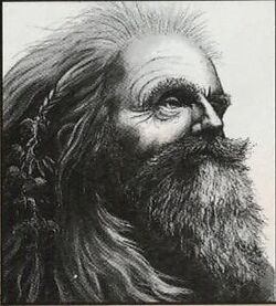 Hengus the Druid