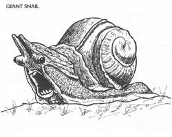 Giant snail