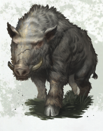 Boar Of The Year