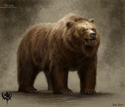 Warhammer Bear