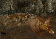 Screenshot from Warhammer Online: Age of Reckoning