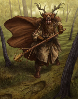 Amber Wizard by Chris Quilliams