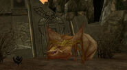 Screenshot from Warhammer Online: Age of Reckoning