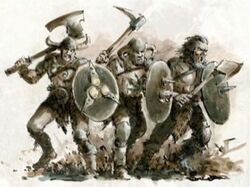 Daakon Har's Blackshields