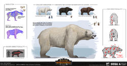 Kameliya-minkova-ksl-bear-bare-concept