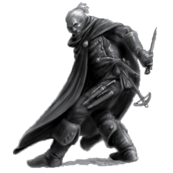 AssassinProfile