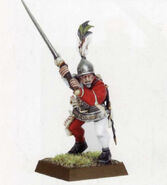 Empire Sergeant (7th Edition)