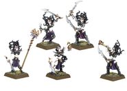 Command group of Witch Elves (6th Edition)