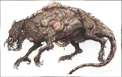 Sketch by an eyewitness of a Giant Rat, killed by the  in one of their nightly  sweeps of their city's cellars