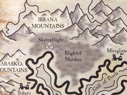 Blighted Marshes Map