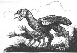 Culchans 2nd Edition illustration