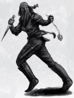 Thief