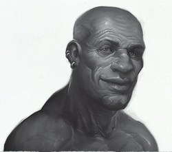 Bruno Franke