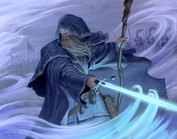 Grey Wizard by Carl Frank
