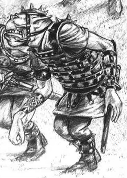 Lorica