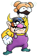 BullWario(WLSML3)1