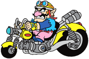 Wario(WWMMG)1
