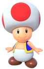 Toad(MP10)0