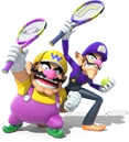WarioWaluigi(MTUS)