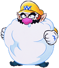 Wario Land 3