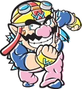 Wario(WWTo)0