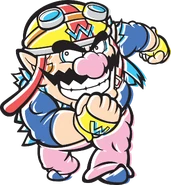 Wario(WWTo)0