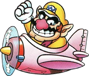 Wario(M&W)0