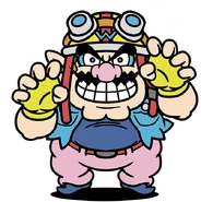 Wario(WWG)1