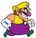 Wario2DRun