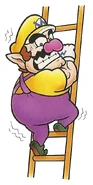 Wario(WL4)5