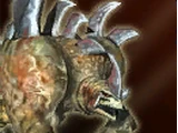 Dremer Brutes