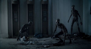 Warm bodies discount