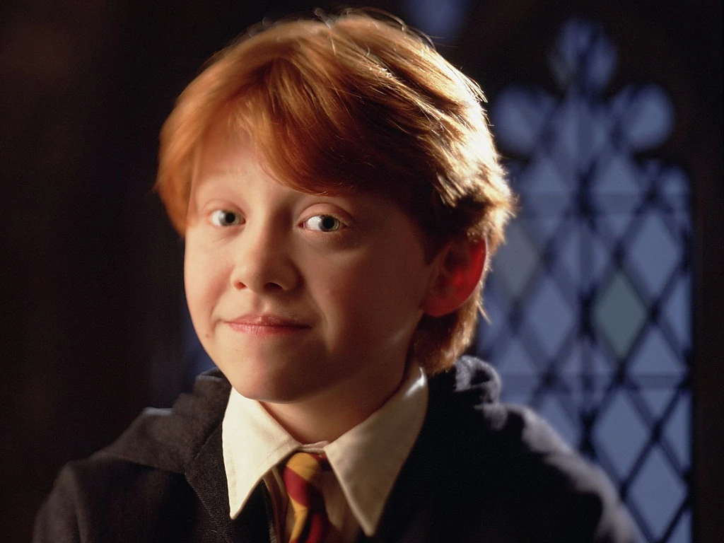 Ron Weasley | Warner Bros characters Wiki | Fandom
